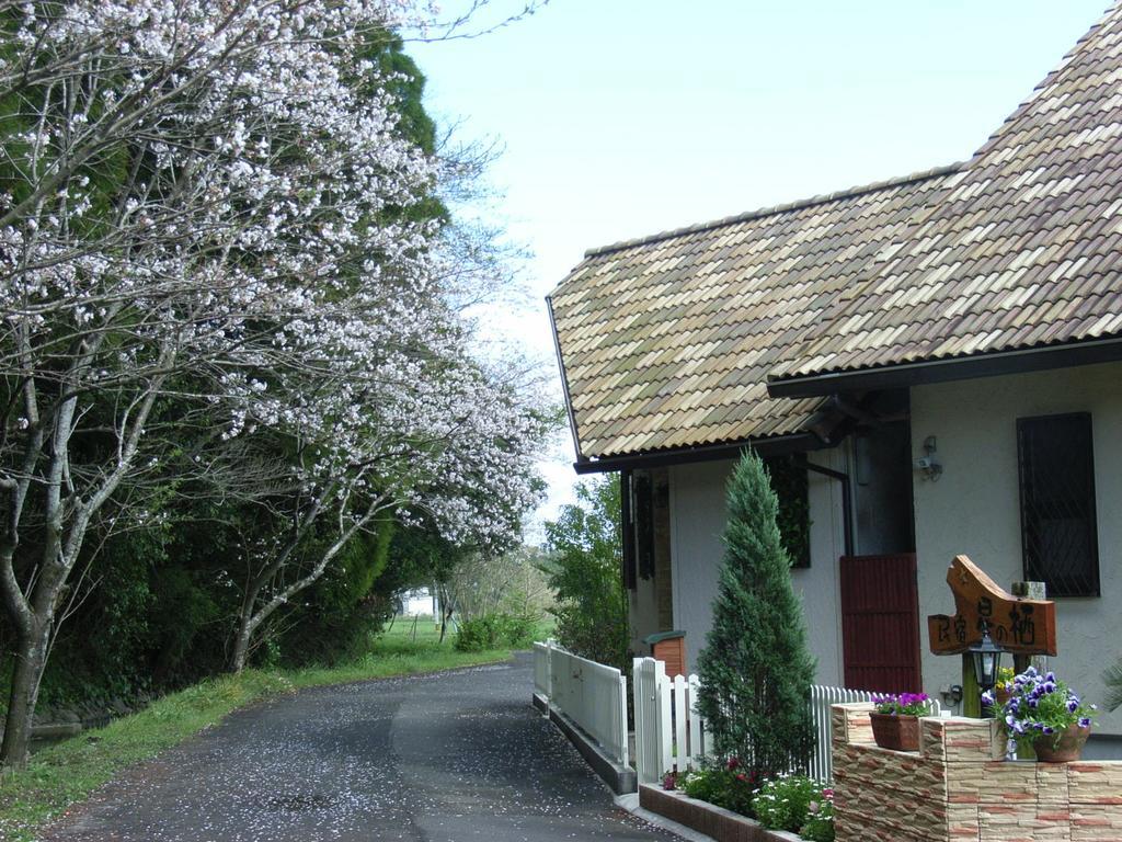 Hotel Minshuku Hoshi No Sumika Shibushi Esterno foto